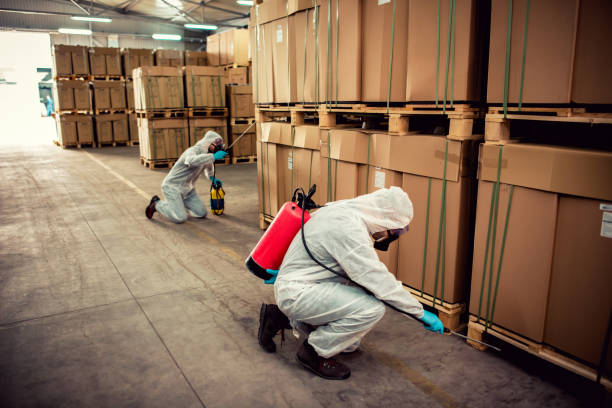 Best Wasp Removal Services  in Superior, NE