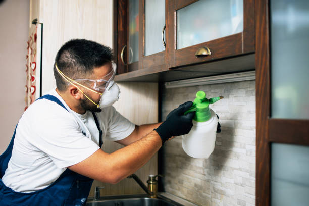 Best Best Pest Control Companies  in Superior, NE
