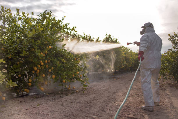Best Residential Pest Control  in Superior, NE