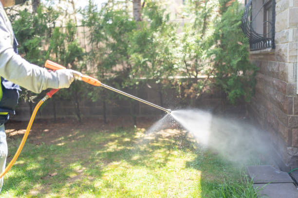Best Pest Removal Services  in Superior, NE