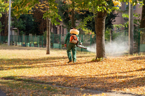 Reliable Superior, NE Pest Control Solutions