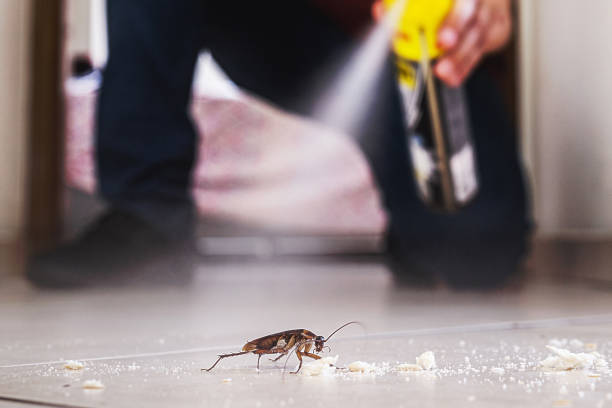 Best Emergency Pest Control  in Superior, NE