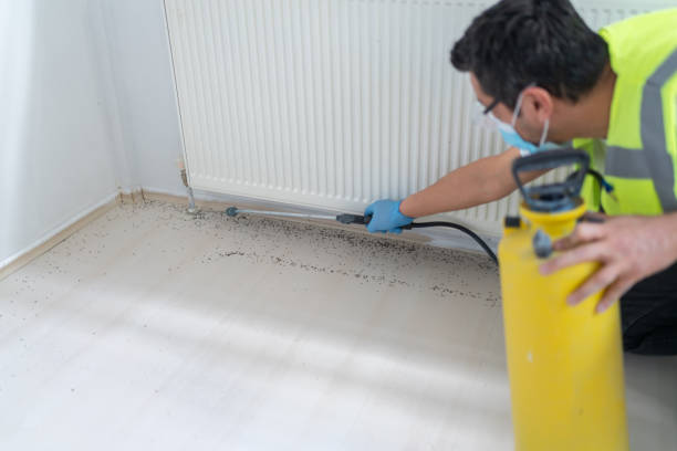 Best Affordable Pest Control Services  in Superior, NE