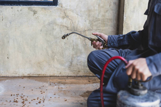 Best Affordable Pest Control Services  in Superior, NE